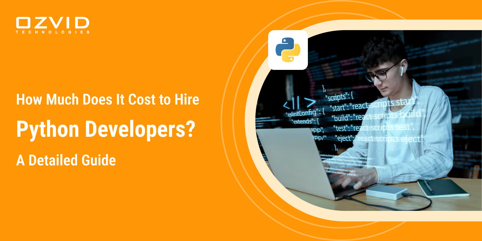 How Much Does it Cost to Hire Python Developers? A Detailed Guide