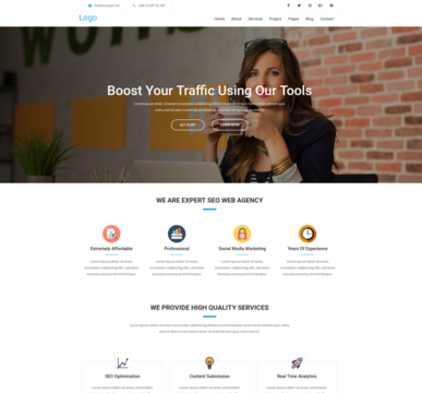 SEO Theme